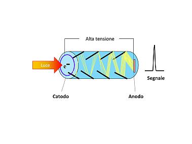 Luminometro - Berthold Technologies GmbH & Co.KG